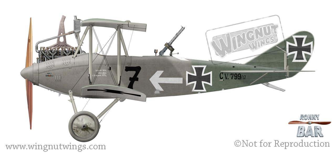 Wingnut Wings - 1/32 DFW C.V (Late Production)